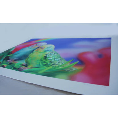 Budgie Love - Limited Edition